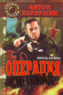 Пираты неба (Операция «Снегопад») - Антон Первушин
