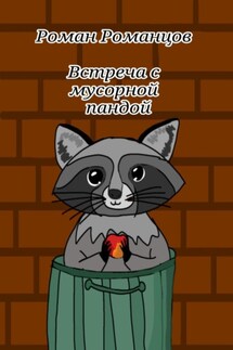 Встреча с мусорной пандой - Роман Романцов