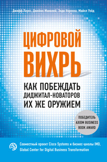 Цифровой вихрь. Как побеждать диджитал-новаторов их же оружием - Джефф Лаукс, Энди Норонха