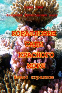 Коралловые сады Красного моря. Атлас кораллов - Саша Сим