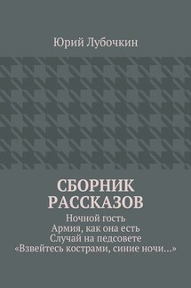 Сборник рассказов. Ночной гость. Армия, как она есть. Случай на педсовете. «Взвейтесь кострами, синие ночи…»