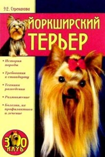 Йоркширский терьер - Эльвира Стрекалова