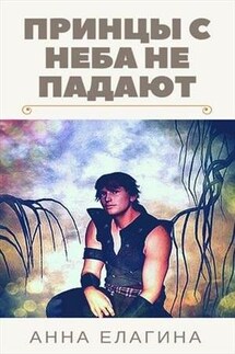 Принцы с неба не падают - Анна Елагина