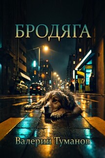 Бродяга - Валерий Туманов