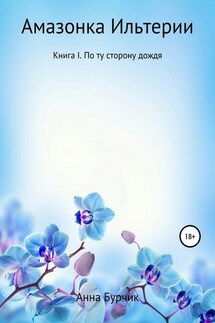 Амазонка Ильтерии. Книга I. По ту сторону дождя - Анна Бурчик