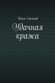 Удачная кража - Илья Синяков