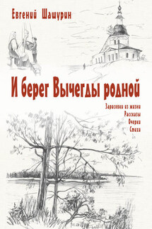 И берег Вычегды родной (сборник) - Евгений Шашурин