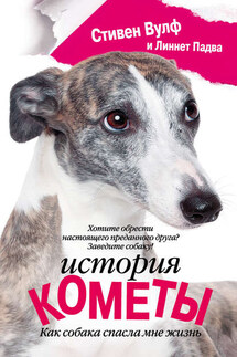 История Кометы. Как собака спасла мне жизнь - Стивен Вулф, Линнет Падва
