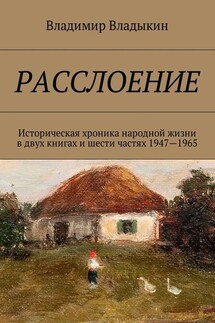 Расслоение. Историческая хроника народной жизни в двух книгах и шести частях 1947—1965 - Владимир Владыкин