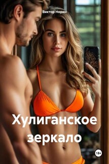 Хулиганское зеркало - Виктор Норин