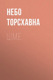 Ш.М.Е. - Ирина Григ