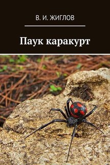Паук каракурт - В. Жиглов