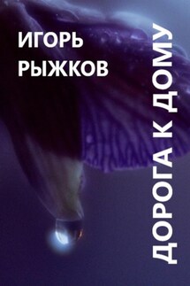 Дорога к дому - Игорь Рыжков