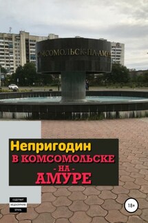 Непригодин в Комсомольске-на-Амуре - Павел Ежов