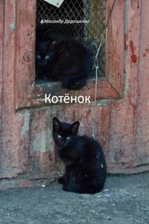 Котёнок - Александр Дорошенко