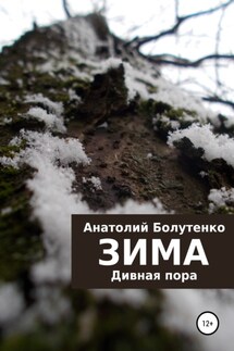 Зима. Дивная пора - Юлия Николаевна Глинская, Анатолий Иванович Болутенко