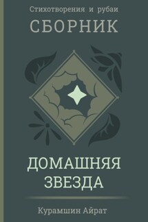 Домашняя звезда - Айрат Курамшин