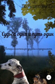 Судьба одна и путь один. История настоящей дружбы и преданности - Ева Большакова