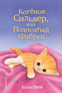 Котёнок Сильвер, или Полосатый храбрец - Холли Вебб