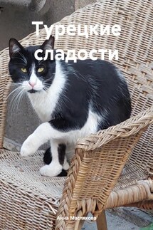 Турецкие сладости - Анна Маслякова