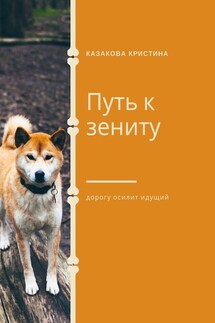 Путь к зениту - Кристина Казакова
