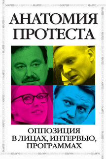 Анатомия протеста - Илья Яшин, Борис Ефимович Немцов