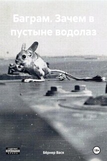 Баграм. Зачем в пустыне водолаз - Бёрнер Вася
