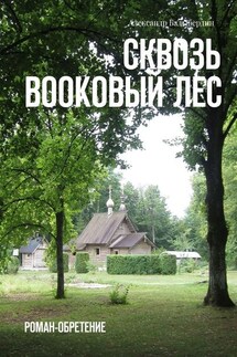 Сквозь Bookовый лес. Роман-обретение - Александр Балыбердин