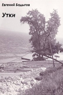 Утки - Евгений Бадыгов