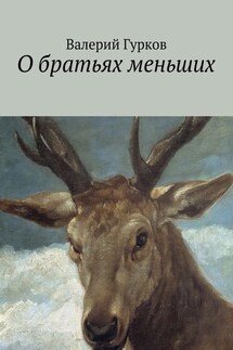 О братьях меньших - Валерий Гурков