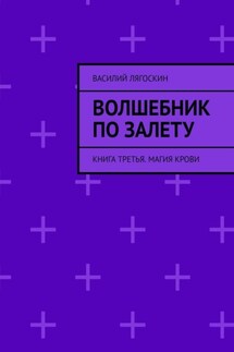 Волшебник по залету. Книга третья. Магия крови - Василий Лягоскин