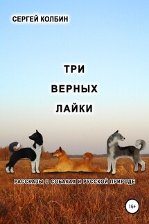 Три верных лайки. Рассказы о собаках и русской природе - Сергей Колбин