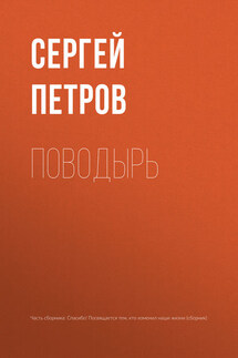 Поводырь - Сергей Петров