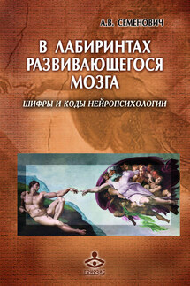 В лабиринтах развивающегося мозга. Шифры и коды нейропсихологии - Анна Семенович