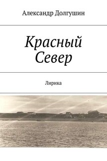 Красный Север - Александр Долгушин