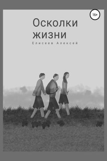 Осколки жизни - Алексей Елисеев