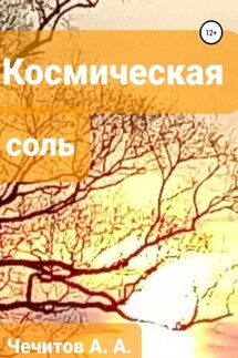 Космическая соль - Александр Чечитов
