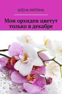 Мои орхидеи цветут только в декабре - Алена Митина