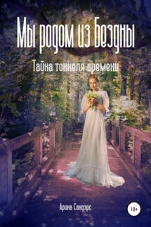 Мы родом из Бездны. Тайна тоннеля времени - Арина Сандэрс