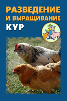 Разведение и выращивание кур - Илья Мельников, Александр Александрович Ханников