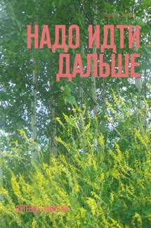 Надо идти дальше. Путевые заметки - Лариса Довгая