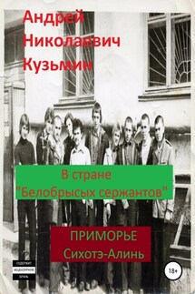 В стране «белобрысых сержантов» - Андрей Кузьмин