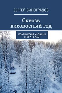 Сквозь високосный год. Поэтические хроники. Книга первая - Сергей Виноградов