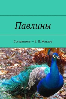 Павлины - В. Жиглов