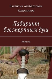 Лабиринт бессмертных душ. Новелла - Валентин Колесников