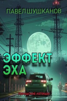 Эффект Эха - Павел Шушканов