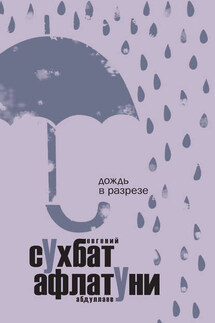 Дождь в разрезе - Сухбат Афлатуни