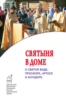 Cвятыня в доме: о святой воде, просфоре, артосе и антидоре - Протоиерей Максим Козлов, Епископ Серафим (Шарапов)