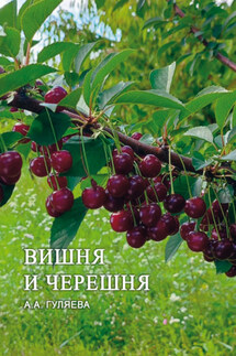 Вишня и черешня - А. Гуляева
