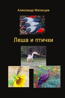 Леша и птички - Александр Матанцев
